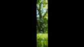 kaculaobo bubbles in the air Blue sky green grass green tree in 5d71b54d 2010 4c0f a6fe 3b0c6d37ff81 png