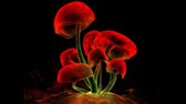 8589130564706 digital art digital blasphemy fluorescence holiday wallpaper hd upscayl 4x realesrgan x4plus png