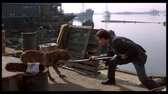 [MI28CH] Turner a Hooch mkv