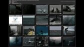 20200425 115538 ; magicky svet oceanov, cesty feodora pitcairna   schodzka morskych obrov [sk] [av studio 1999] mkv jpg