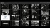[inc] 20200510 0036   Jednotka   Osud človeka jpg