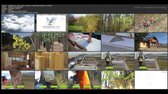 20200506 0552   Dvojka ; podte s nami do lesa   recyklovatelne produkty z lesa [2018] ts jpg
