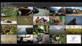 Brahmaputra, Himalájska rieka   velka rieka himalaji [2] india [sk,de] [2017] [p]   STV2 HD [V]   20191023 2007 [ransom] m2ts jpg