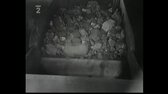 Hledání ztraceného času   Plyn z Michle mp4