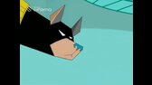 Superpes Krypto S01E22 A Batpes poznává psí hvězdné   A psí život SDTV x264 PiP mp4
