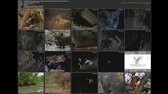 20190408 182730 ; kraska a netvor, pribeh o levhartovi [cz] [1996] [v bnn studio, nova 1997]  mkv jpg