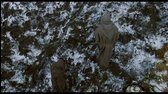 Jméno růže   iVysílání (Jméno růže) [61924494878190286] x265 mkv