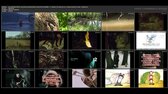 stv2 20170302 095701 ; tam, kde zivot prameni [2013] ; siroty [1974] ; bambulka   17  maskara ; 18  straka ; pa a pi   neunavny stavitel ; tri sviste   ufnukanec jpg