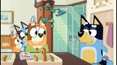Bluey S02E05   Kadernictvi avi