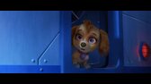 Labkova patrola vo velkofilme  Paw Patrol 2023 SK mkv