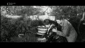 Cesta hlubokým lesem (1963) avi