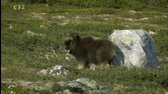 Norsko Mezi fjordy a fjelly   iVysílání  Česká televize x265 mkv