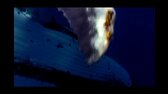Velké podmořské dobrodružství 3D CZ dabing   Dokumentární, Velká Británie, 2009 (nejlepsi filmy mypage cz) avi