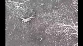 Video Ztratil nohu, ale ne vůli žít   výkon ruského vojáka, který bojoval s nepřítelem až do konce MP4