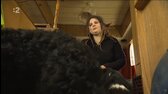 Ludia na hranici S01E06 Včelaři a pastevci 2023 CZ SK 2023 TvRip HEVC 720p mp4