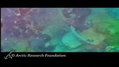 Loď která beze stopy zmizela v Arktidě našli průzkumníci po 168 letech  0b57b4e16d62c609 360p mp4