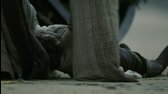 Tristan a Isolda (Sophia Myles,James Franco,Hans Martin Stier 2006 Akční Dobrodružný Drama Romantický Bdrip ) Cz dabing mkv