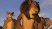 madagaskar 2 utek do afriky (2008 cz 1080p) [madagascar   esc pe 2 africa] mkv