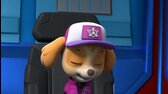 PAW Patrol S09e11 Tlapková patrola FHD 1080p CZ mkv