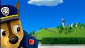 PAW Patrol S01e21 Tlapková patrola FHD 1080p CZ mkv