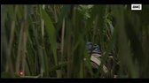The Walking Dead Dead City S02E03 CZ Dabing 1080p H264 AAC mp4