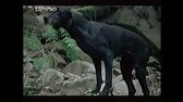 Vraždy v Midsomeru   S02E03   Jedenáctka mrtvého muže (Dead Man's Eleven) avi