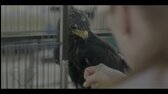 Sirény S01E01 FHD WEB DL 5 1 CZ dab mkv