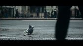 Daredevil Znovuzrození S01E06 Nepřiměřená síla CZ mkv