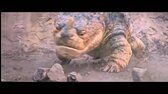 How to Train Your Dragon   Jak vycvicit draka 2025 sk dabing KINORIP mp4