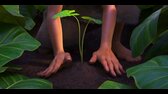 Moana 2 (2024) mp4