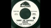 The Surfettes   Sammy The Sidewalk Surfer (Digitally Extracted Stereo Remix) mp4