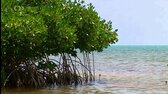 Na cestě S02E36   Na cestě po Belize (2007) (DVB 720p50 HEVC) mkv