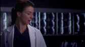 Grey's Anatomy s10e23 Chirurgove FHD 1080p  CZ mkv