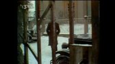 Bakaláři, Medové týždne, 1982 mp4