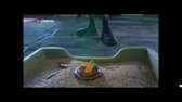 10 zivotu kocourka Mnouka 2024 FHD CZ dab mp4