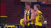 VFL 2025 Round 20 Tigers Vs Zebras 1080p HDTV H264 DARKSPORT mkv