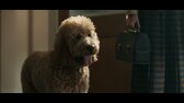 Lessons in Chemistry S01E03 Living Dead Things 1080p ATVP WEB DL DDP5 1 Atmos H 264 FLUX mkv