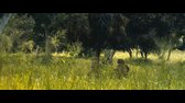 Válečný velitel S01E06 FHD ATVP WEB DL 10bit Atmos CZ SK TT mkv