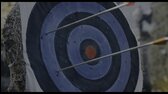 Wednesday 01×02 – Jako kůl v hřbitovním plotě 2160p mkv