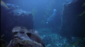 Pobřežní hlídka   08x20   Šťastnou cestu 1080p FullHD TVRip mkv