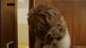 Slub S02E15 2025 1080p mp4