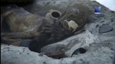 Neobjasnene pripady Egypta 07 Nicemnosti a neresti (cz en 1080p HEVC) mp4