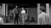 Love Me Tender,Miluj Mě Něžně,1956,CZdab mkv