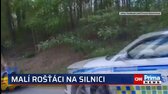 Řidiči v Brně nevěřili svým očím  Po silnici si to šinuly děti ve zmenšeném sporťáku Míša Volf (Vlk) R I P 2025 mp4