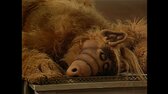 Alf (1986) S01E01 Pilot 1080p SK,CZ,EN GreAndr mkv